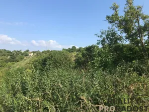 Prodej zahrady, Kobeřice u Brna, 2052 m2