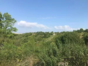 Prodej zahrady, Kobeřice u Brna, 2052 m2