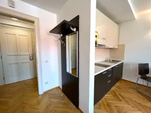 Pronájem bytu 1+kk, Praha - Nové Město, Hálkova, 30 m2
