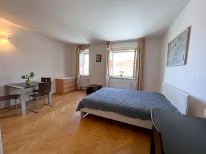 Pronájem bytu 1+kk, Praha - Nové Město, Hálkova, 30 m2
