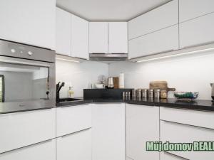 Pronájem bytu 1+kk, Praha - Karlín, U Mlýnského kanálu, 48 m2