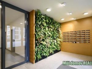 Pronájem bytu 1+kk, Praha - Karlín, U Mlýnského kanálu, 48 m2