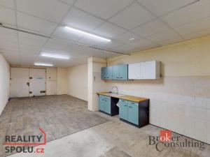 Prodej obchodního prostoru, Jirkov, K. Marxe, 230 m2