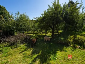 Prodej rodinného domu, Všepadly, 92 m2