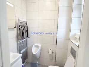 Pronájem bytu 4+kk, Hradec Králové, třída Karla IV., 135 m2