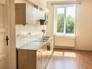 Pronájem bytu 2+1, České Budějovice, Havlíčkova, 98 m2