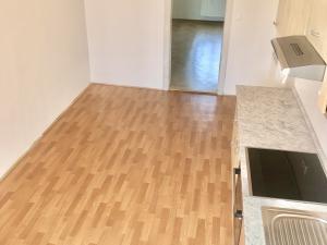 Pronájem bytu 2+1, České Budějovice, Havlíčkova, 98 m2