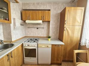 Pronájem bytu 2+1, Kralupy nad Vltavou, sídl. Hůrka, 58 m2