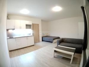 Pronájem bytu 1+kk, Brno - Slatina, Tilhonova, 30 m2