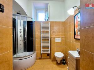 Pronájem bytu 1+1, Horní Libchava, 30 m2