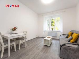 Pronájem bytu 1+kk, Praha - Smíchov, Holečkova, 22 m2