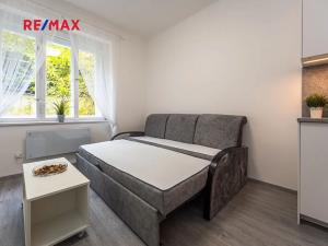 Pronájem bytu 1+kk, Praha - Smíchov, Holečkova, 22 m2