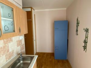 Pronájem bytu 1+1, Habartov, Karla Čapka, 36 m2