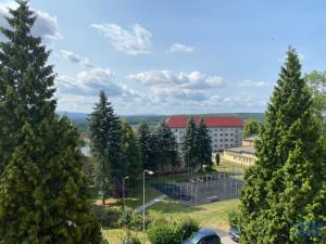 Pronájem bytu 1+1, Habartov, Karla Čapka, 36 m2