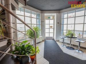 Prodej obchodního prostoru, Brno, Zemědělská, 57 m2