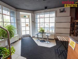 Prodej obchodního prostoru, Brno, Zemědělská, 57 m2