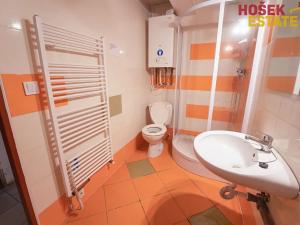 Prodej obchodního prostoru, Brno, Zemědělská, 57 m2
