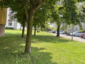 Pronájem bytu 1+1, Lázně Bohdaneč, Na Lužci, 45 m2