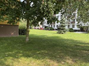 Pronájem bytu 1+1, Lázně Bohdaneč, Na Lužci, 45 m2