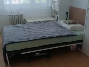 Prodej bytu 3+1, Praha - Žižkov, Jeseniova, 76 m2
