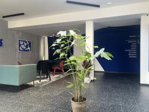 Pronájem bytu 2+kk, Praha - Chodov, Čenětická, 34 m2