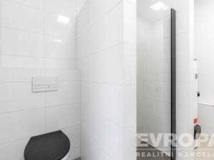 Pronájem rodinného domu, Praha, 241 m2