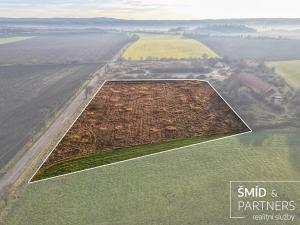 Prodej komerčního pozemku, Přelouč, Vrchlického, 15000 m2
