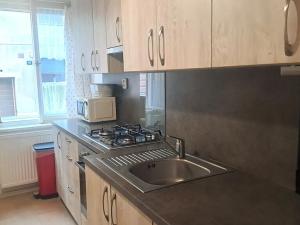 Pronájem bytu 2+1, Praha - Braník, Pod vinohradem, 53 m2