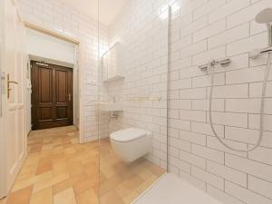 Pronájem bytu 1+kk, Olomouc, Šemberova, 30 m2