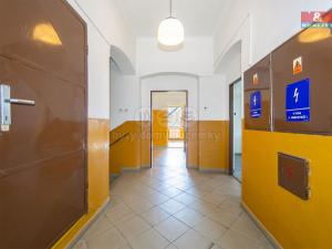 Pronájem výrobních prostor, Přeštice, Veleslavínova, 918 m2