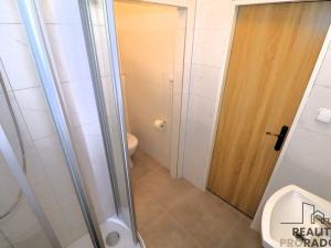 Pronájem bytu 1+kk, Brno - Staré Brno, Jircháře, 25 m2