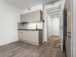 Pronájem bytu 1+kk, Praha - Žižkov, Tetauerova, 33 m2