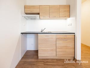 Pronájem bytu 1+kk, Praha - Malešice, Počernická, 24 m2