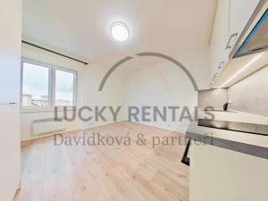 Pronájem bytu 1+kk, Praha - Podolí, Levá, 27 m2