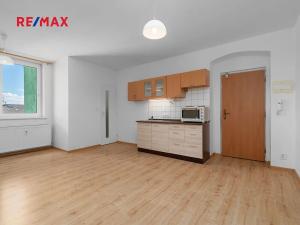 Pronájem bytu 1+kk, Plzeň, Skvrňanská, 30 m2