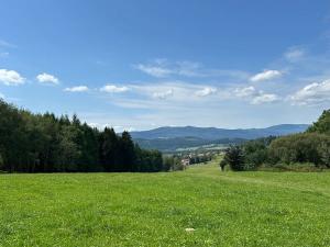Prodej pozemku pro bydlení, Horní Planá, 4593 m2
