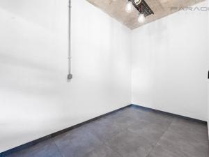 Pronájem bytu 3+kk, Praha - Holešovice, Na Maninách, 146 m2