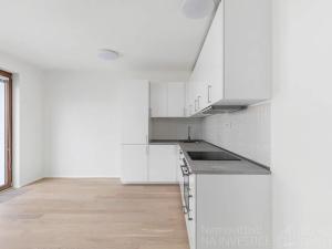 Pronájem bytu 1+kk, Praha - Košíře, Naskové, 32 m2