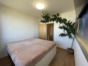 Prodej bytu 3+kk, Praha - Chodov, Křejpského, 73 m2