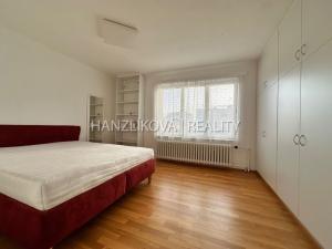 Pronájem atypického bytu, České Budějovice - České Budějovice 5, 20 m2