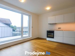 Pronájem bytu 1+kk, Brno - Černovice, Mírová, 32 m2