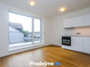 Pronájem bytu 1+kk, Brno - Černovice, Mírová, 32 m2