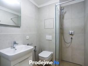 Pronájem bytu 1+kk, Brno - Černovice, Mírová, 32 m2