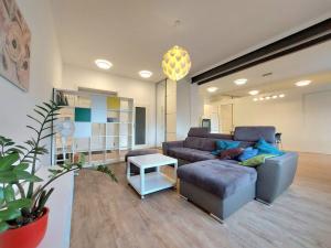 Pronájem bytu 2+kk, Hradec Králové, Škroupova, 71 m2