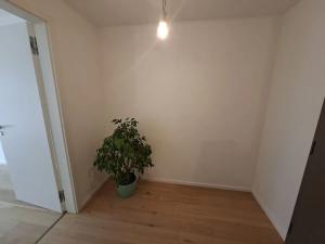 Pronájem bytu 1+kk, Brno, Bratislavská, 39 m2