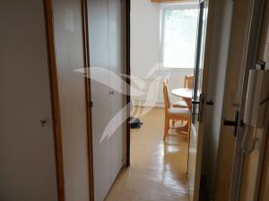 Pronájem bytu 1+1, Plzeň, Manětínská, 39 m2