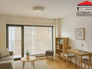Pronájem bytu 2+kk, Brno, Františkánská, 54 m2