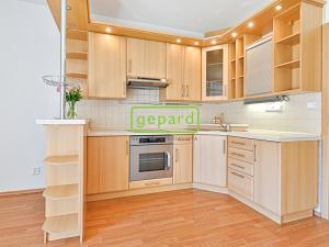 Prodej bytu 1+kk, Brno - Slatina, Lučiny, 32 m2