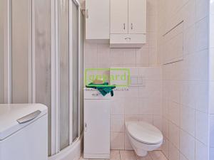 Prodej bytu 1+kk, Brno - Slatina, Lučiny, 32 m2