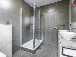 Prodej rodinného domu, Bořanovice, V sazenicích, 285 m2